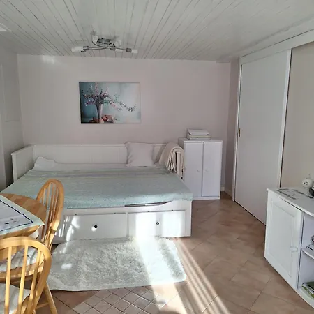 Apartmaji Marinka Hodnik Bohinj Exterior foto