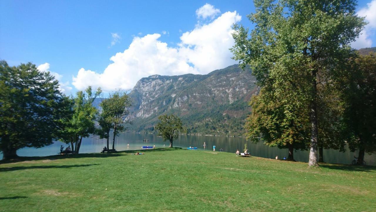 Apartmaji Marinka Hodnik Apartment Bohinj