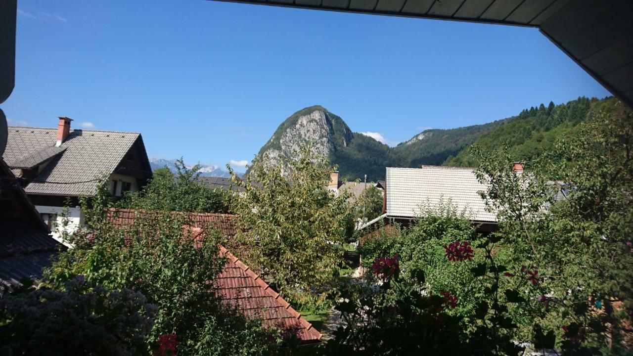 Apartmaji Marinka Hodnik Bohinj